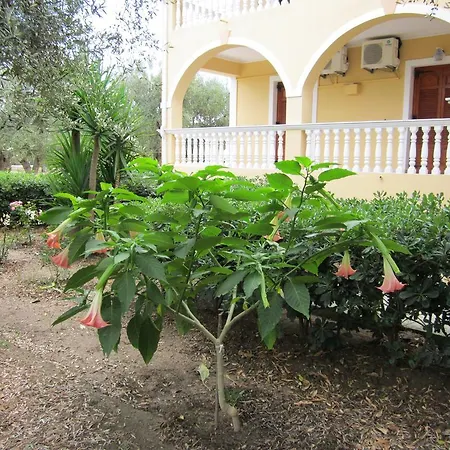 Apartment Dimaras *