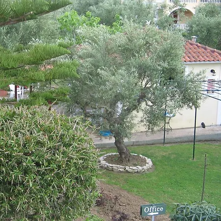 Dimaras Vasilikos (Zakynthos)