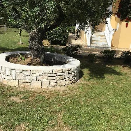 Dimaras Vasilikos (Zakynthos)